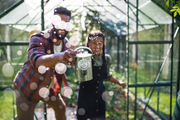 A happy young brother with small sister working outdoors in backyard, gardening and greenhouse concept.