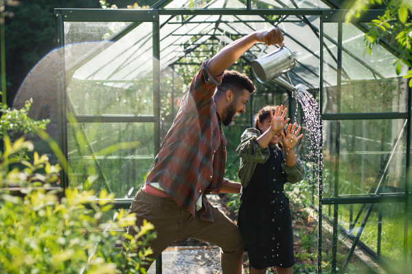 A happy young brother with small sister having fun outdoors in backyard, gardening and greenhouse concept.