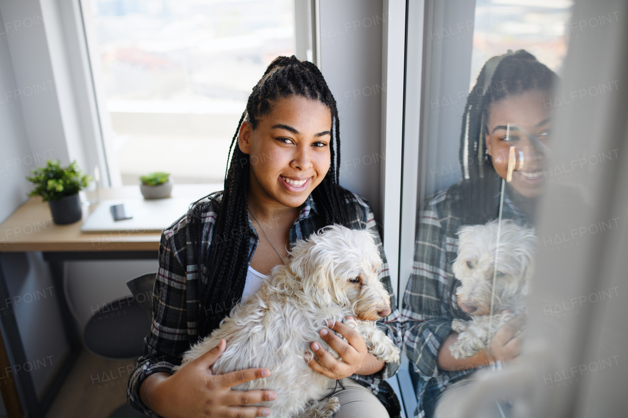 A portrait of happy teenage girl with dog sitting indoors at home, looking at camera.