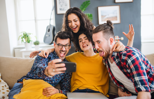 A group of young cheerful friends with smartphone sitting on sofa indoors, taking selfie. House sharing concept.