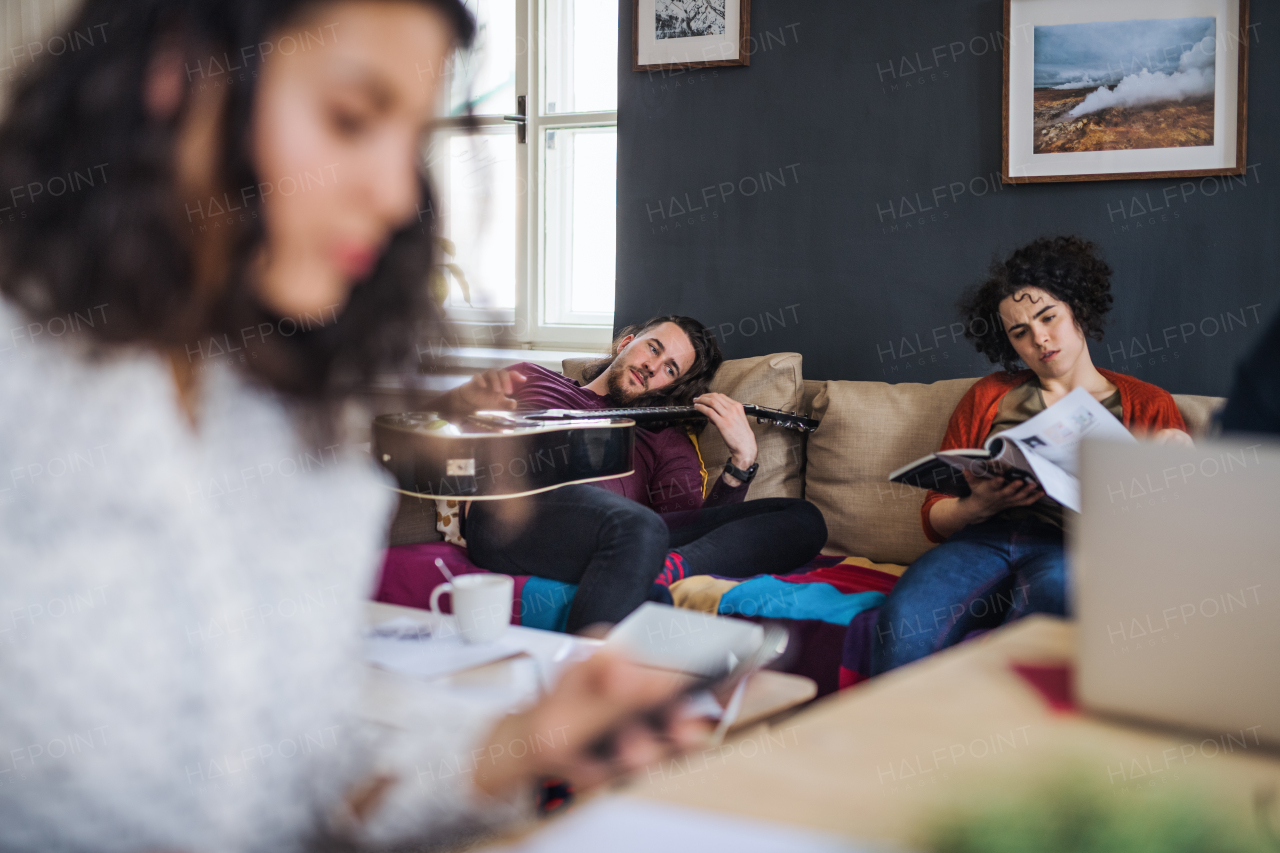 A group of young cheerful friends relaxing indoors, house sharing concept.