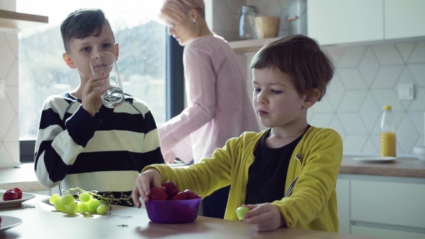 A young mother with two happy children eating fruit in a kitchen. Slow motion.