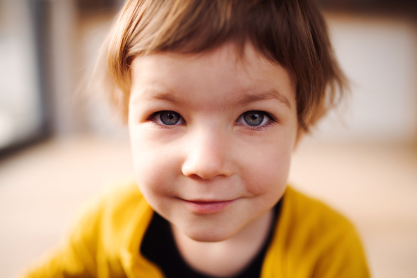 A close-up of a cute small girl indoors at home.