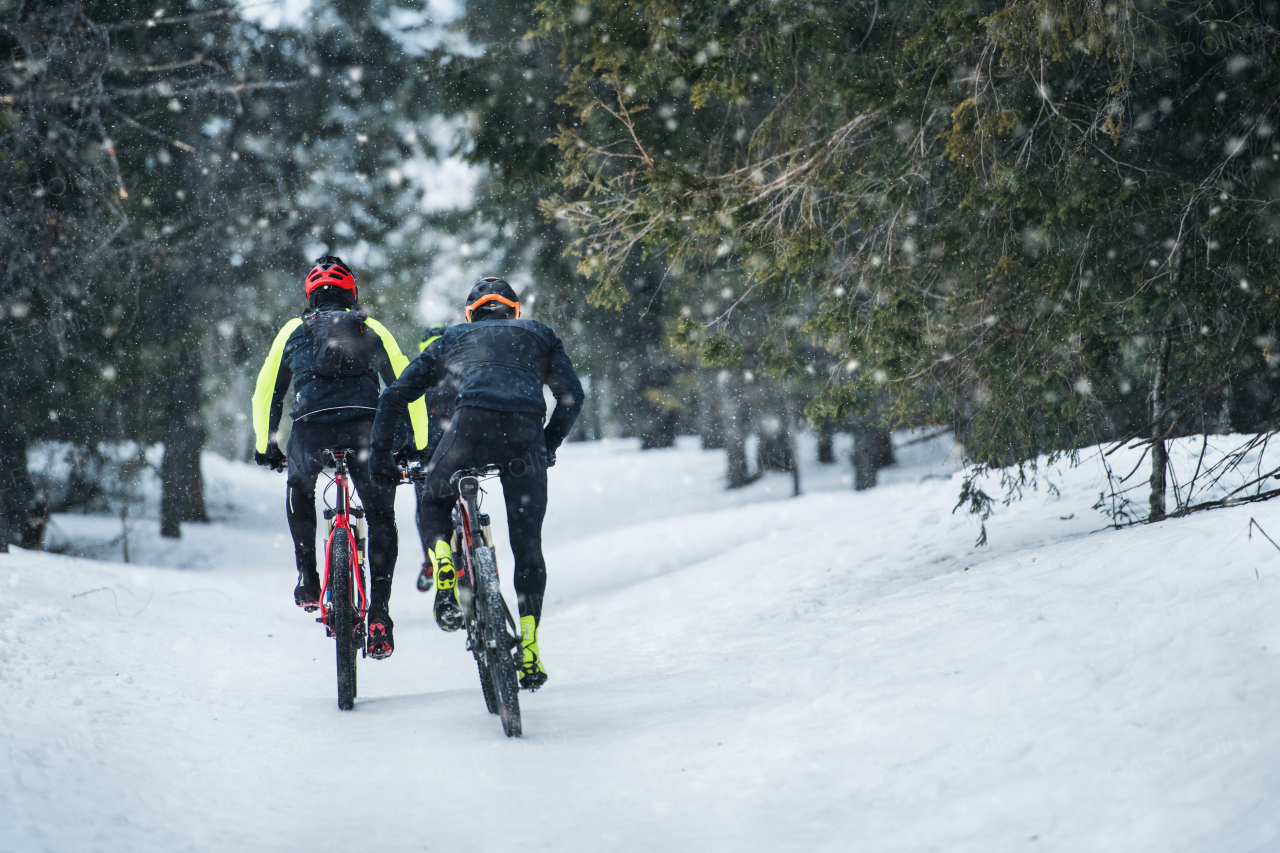 Rear view of group of mountain bikers riding on road in forest outdoors in winter.