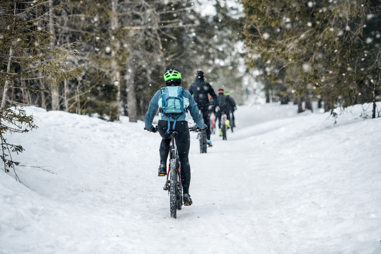 Rear view of group of mountain bikers riding on road in forest outdoors in winter.