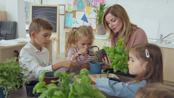 A pre- school teacher teaching children about plants indoors in nursery, montessori education.