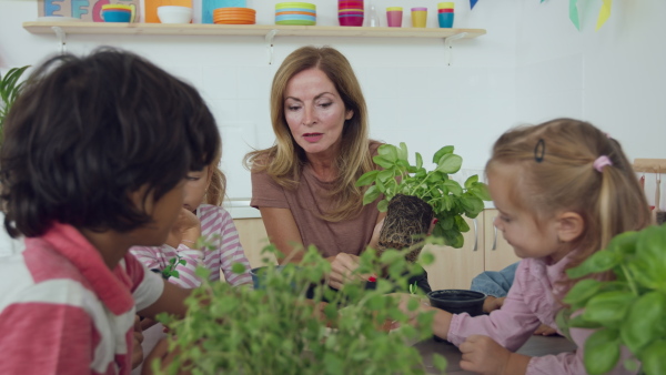 A pre- school teacher teaching children about plants indoors in nursery, montessori education.