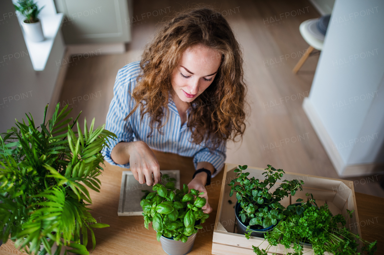 Top view of young woman standing indoors at home, cutting herbs.