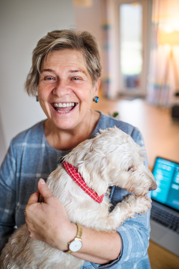 Cheerful senior woman with pet dog and laptop working in home office.