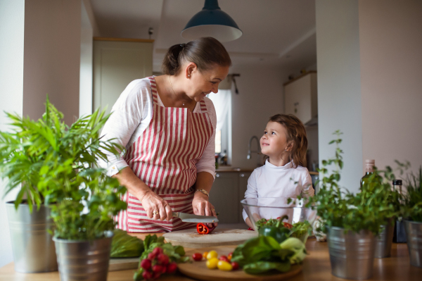 Front view of small girl with senior grandmother in kitchen indoors at home, preparing food.