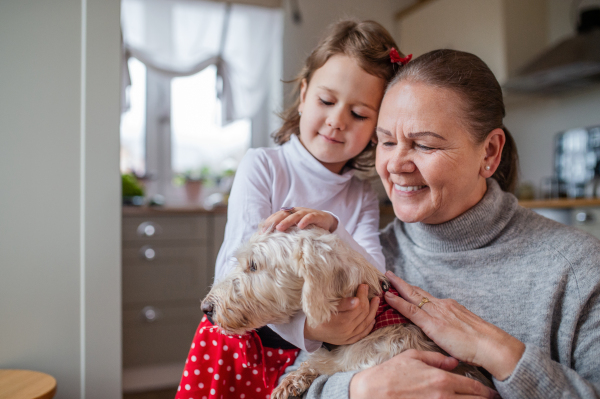 Happy small girl with senior grandmother playing with dog indoors at home.