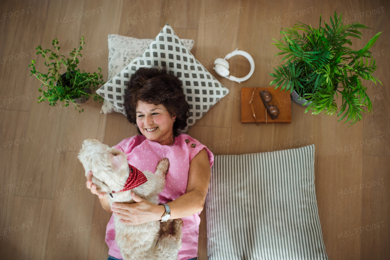 Top view of happy senior woman with dog lying on floor at home, relaxing.