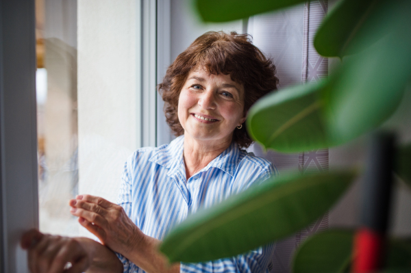 Senior woman standing and relaxing by window at home, looking at camera.