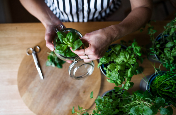 Midsection of unrecognizable woman indoors at home, cutting green herbs.