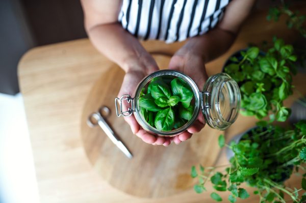 Midsection of unrecognizable woman indoors at home, cutting green herbs.