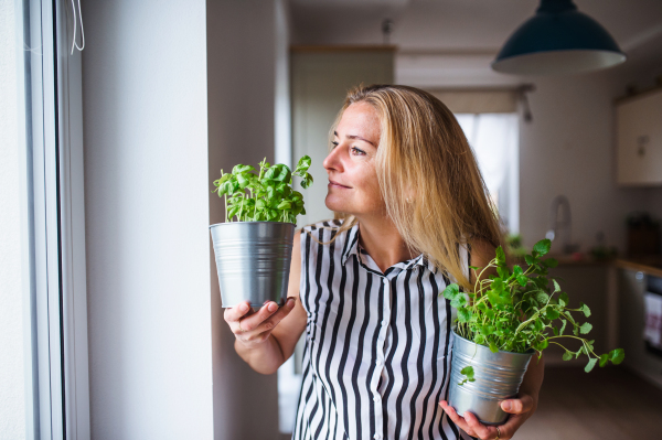 Front view portrait of woman indoors at home, holding pots with herbs.