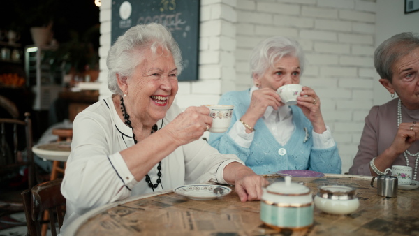 Happy senior friends sitting indoors in a cafe drinking coffee or tea, laughing and having nice time together.