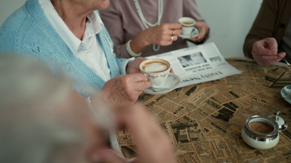 Happy senior friends sitting indoors in a cafe drinking coffee or tea, laughing and having nice time together.