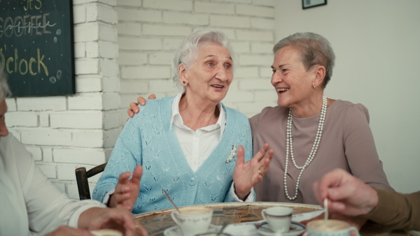 Happy senior friends sitting indoors in a cafe drinking coffee, laughing and having nice time together.