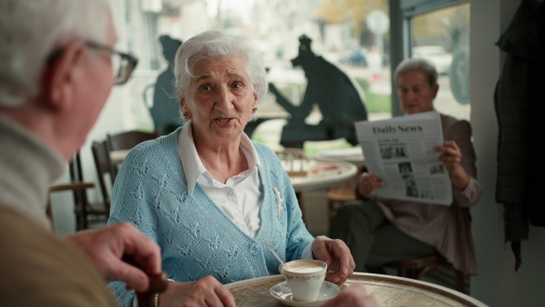 Happy senior friends sitting indoors in a cafe drinking coffee or tea, laughing and having nice time together.