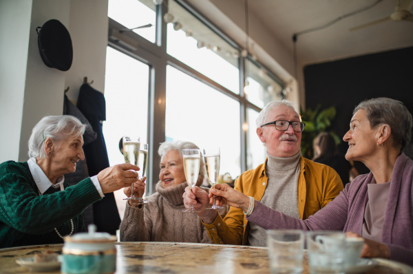 Happy senior friends sitting indoors in a cafe clinking champagne glasses and celebrating