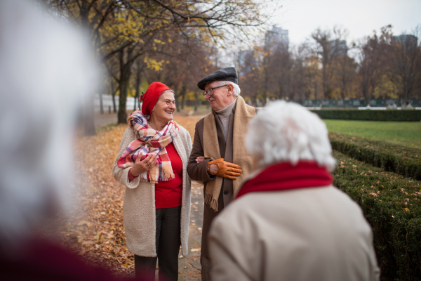 A group of happy senior friends on walk outdoors in town park in autumn, talking and laughing.