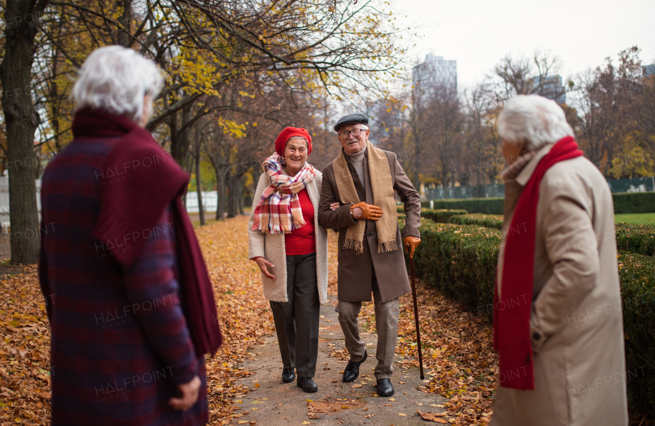 A happy elegant senior couple meeting friends on walk outdoors in park in autumn.