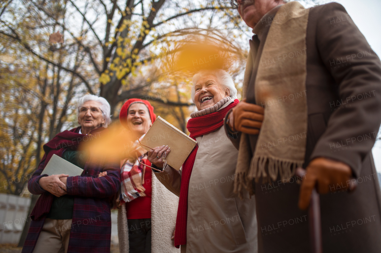 A low angle view of group of happy senior friends on walk outdoors in town park in autumn, laughing.