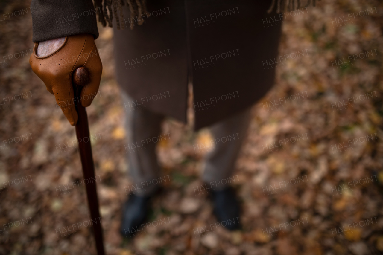 A close up of elegant senior man's hand with walking stick on walk in autumn park.