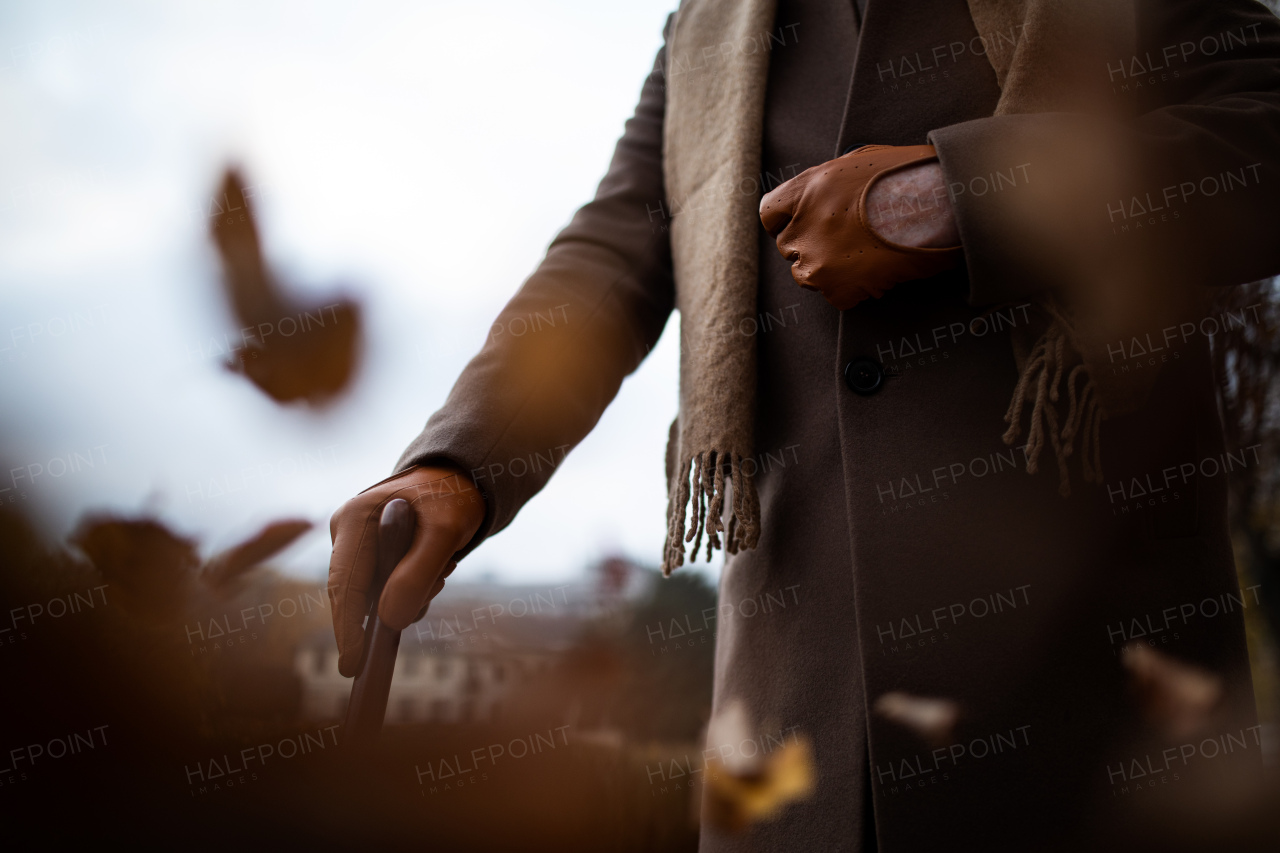 A midsection of elegant senior man's hand with walking stick on walk in autumn park.