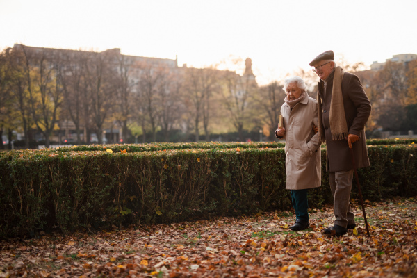 senior friends on walk outdoors in a park on autumn day, copy space.