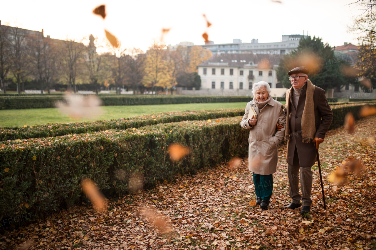 senior friends on walk outdoors in a park on autumn day, copy space.