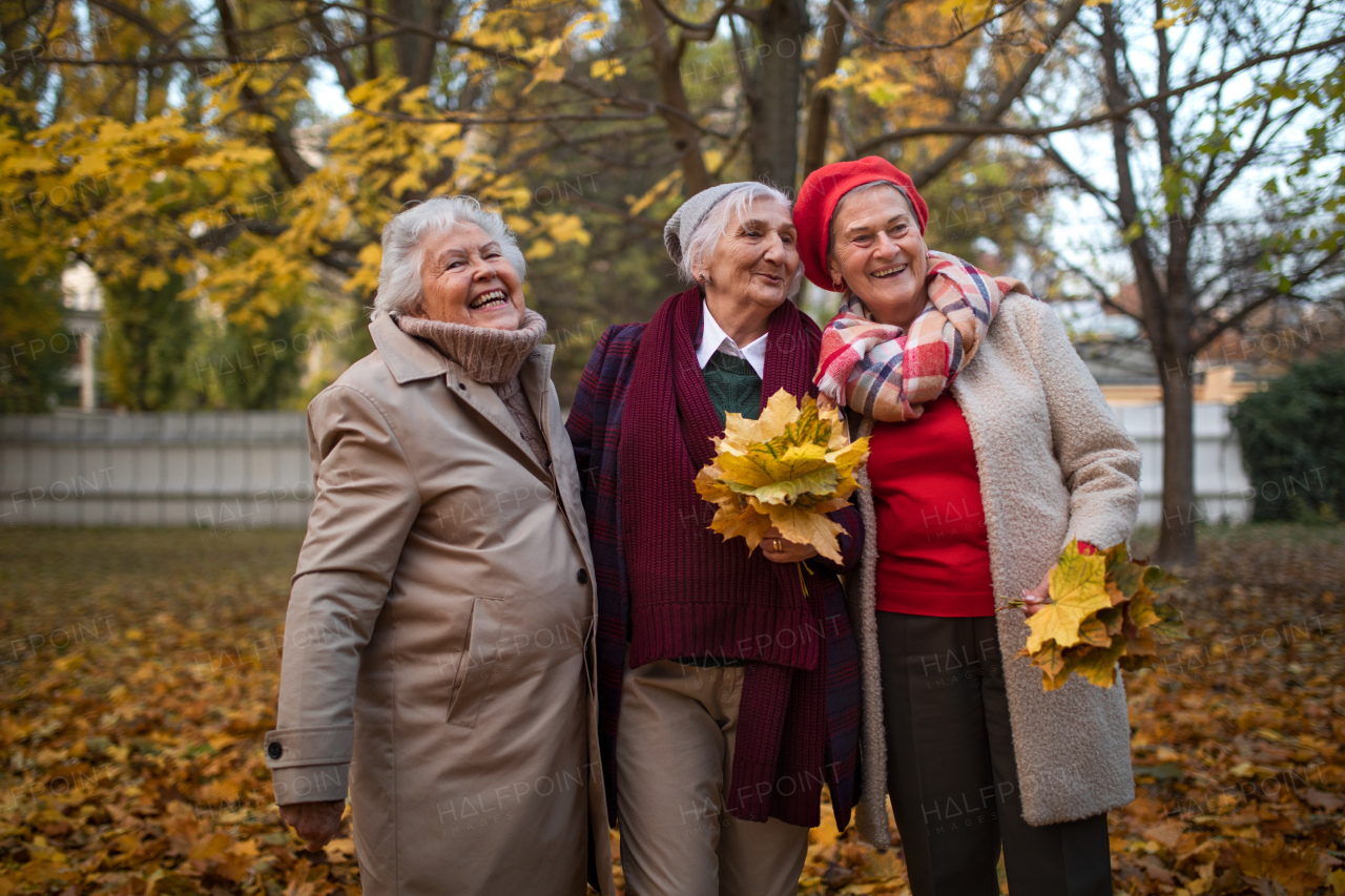 Happy senior friends on walk outdoors in park in autumn day, having fun and throwing colourful leaves.