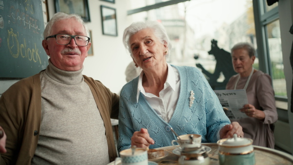 Happy senior couple sitting indoors in a cafe drinking coffee, laughing and having nice time together.