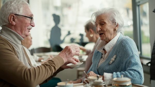 Senior man giving to taste cake to his wife in a cafe.