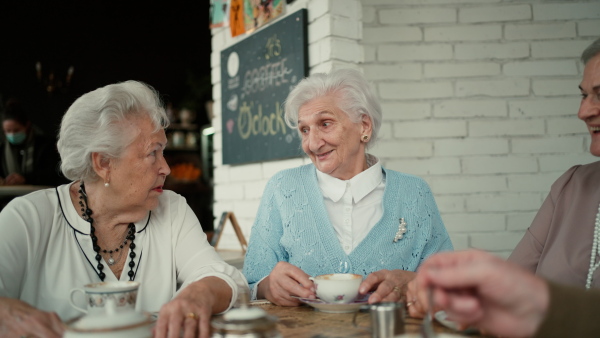 Happy senior friends sitting indoors in a cafe drinking coffee or tea, laughing and having nice time together.