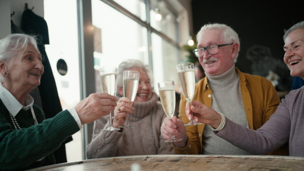 Happy senior friends sitting indoors in a cafe clinking champagne glasses and celebrating