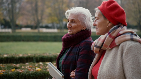 Happy senior women friends on a walk outdoors in town park in autumn, looking at camera.