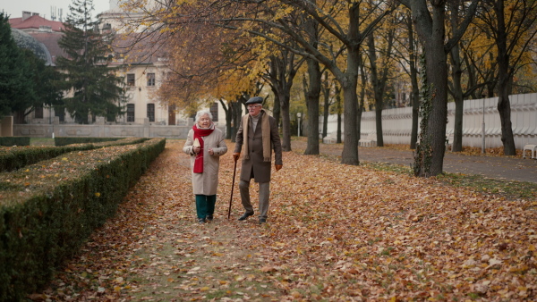 A happy senior friends on walk outdoors in town park in autumn, looking at camera.