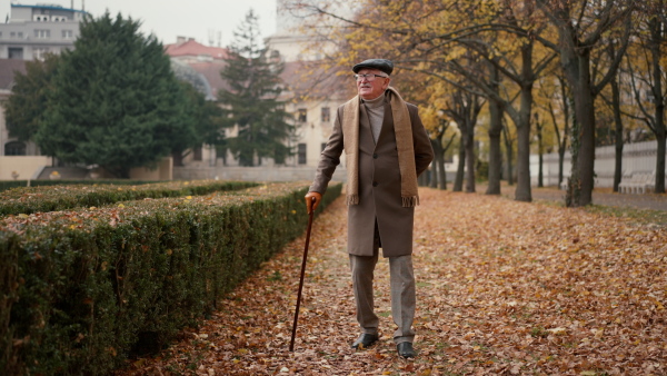 An old elegant man with walking stick on walk in park on autumn day