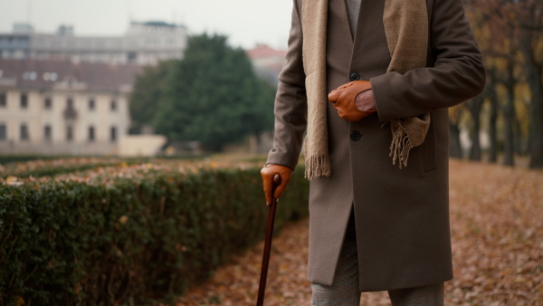 An old elegant man with walking stick on walk in park on autumn day