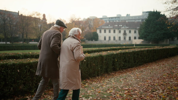 Rear view of senior friends on walk with a book, outdoors in town park in autumn.