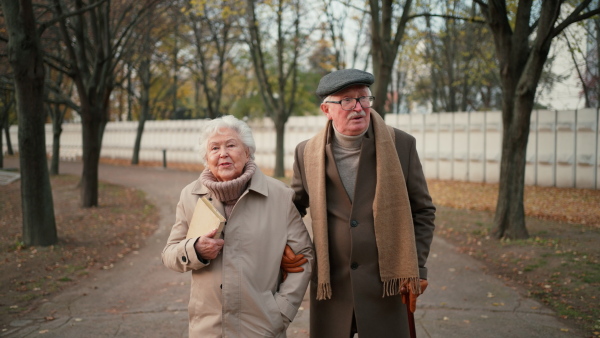 Rear view of senior friends on walk with a book, outdoors in town park in autumn.