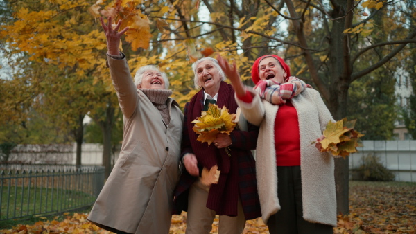 Happy senior friends on walk outdoors in park in autumn day, having fun and throwing colourful leaves.