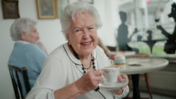 Happy senior friends sitting indoors in a cafe drinking coffee or tea, laughing and having nice time together. Close-up of senior woman looking at camera.