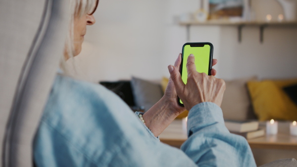 Senior woman having an online consultation on smartphone with green screen. Lockdown concept.