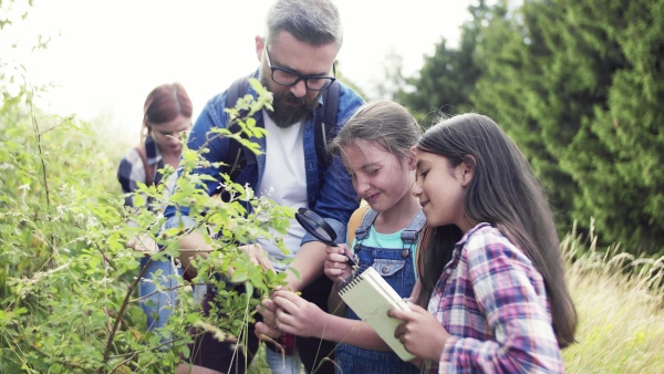 A group of small school children with teacher on field trip in nature, learning science.