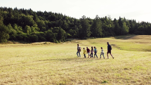 A group of small school children with teacher on field trip in nature, walking.