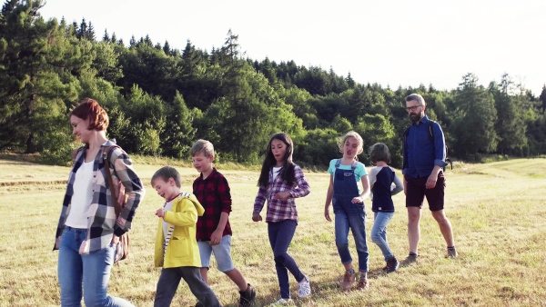 A group of small school children with teacher on field trip in nature, walking.