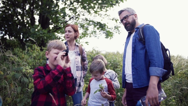 A group of small school children with teacher on field trip in nature, learning science. Slow motion.